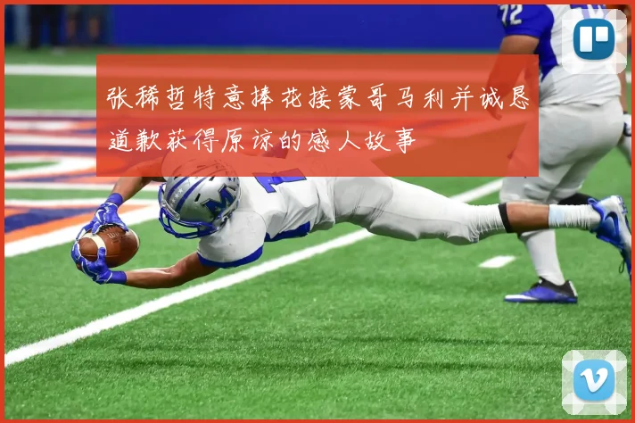 张稀哲特意捧花接蒙哥马利并诚恳道歉获得原谅的感人故事